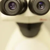 smile
