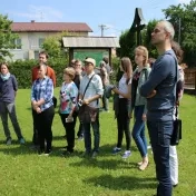 Bardejov, Krynica, Kurov