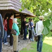 Bardejov, Krynica, Kurov