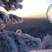 Vianočný pozdrav dekana GTF