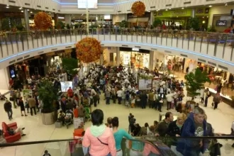 Prešovská univerzita v Prešove na Festivale vedy