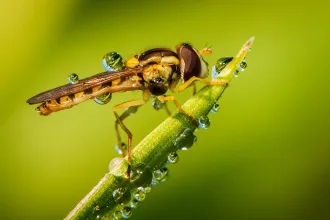 Autorská výstava fotografií Mateja Žiaka