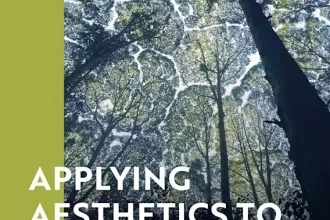 Applying Aesthetics to Everyday Life: Methodologies, History and New Directions