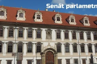 Mgr. V. Bokša - stáž v politickej strane ANO 2011