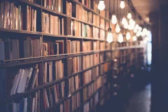 Bachelor´s studies