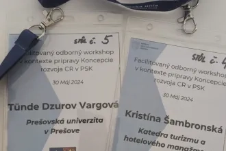 Facilitovaný odborný workshop PSK