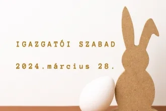 Igazgatói szabad