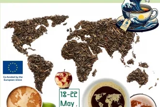 BIP „Foodscapes as a Mirror of Environment and Culture – a Journey Through Gastronomy, Environment, and Identity Workshop“