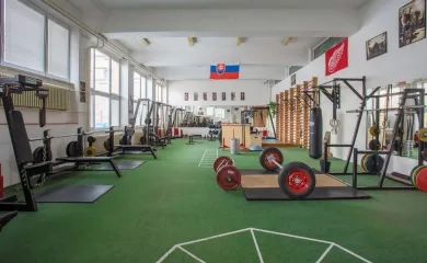 Posilňovňa