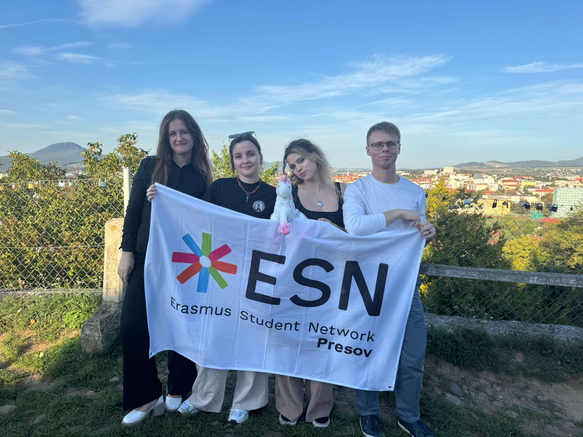 ESN_board